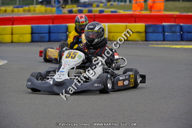 DSC_ (1750).jpg